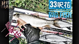 釣魚狂人4K 基隆，冬天釣苦花，巧遇33大苦花《攔沙壩》，IO 75MH差點拉不回來 Stream Fishing Taiwan