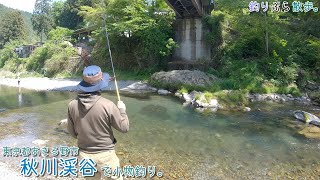 綺麗な清流でキレイな魚がまさかの5目釣り！    あきる野市 秋川渓谷で小物釣り。