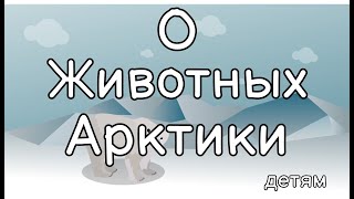 Животные Арктики. Все обо всем.