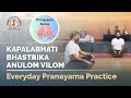 A Complete Pranayama Practice | Kapalbhati, Bhastrika & Anulom Vilom | 6 Minutes |Beginner Friendly