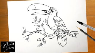 How to Draw a Toucan Bird Easy Step by Step