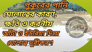 পুকুরের পানি ঘোলাত্বের কারণ, ক্ষতি ও করণীয়/আটা ও ইউরিয়া দিয়ে ঘোলাত্ব দূরীকরণ।