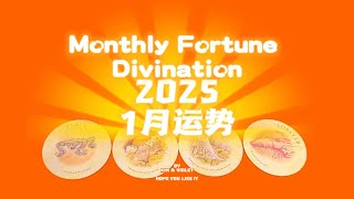 1月运势｜2025｜塔罗+雷诺曼｜双人连线