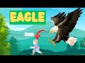 All About Eagles: Fun Facts and Amazing Features for Kids | Lesson For Kids On Eagles