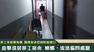 《新聞深呼吸》第162集-PART2　移工染疫爆危機 醫管宿舍恐成防疫破口 直擊混居移工宿舍 蟑螂、流浪貓四處竄