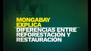 #MongabayExplica: ¿Qué diferencia hay entre la reforestación y la restauración?