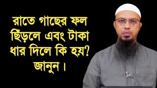 রাতে গাছের ফল ছিঁড়লে এবং টাকা ধার দিলে কি হয়? জানুন। শায়খ আহমাদুল্লাহ।