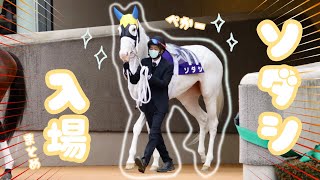 【白毛ソダシのシーン入場集】競馬