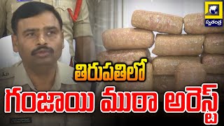 తిరుపతిలో గంజాయి ముఠా అరెస్ట్ | Marijuana Gang Arrested in Tirupati | Swatantra Telugu News