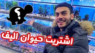 اشتريت حيوانات اليفة لاول مرة | اصغر حيوان اشوفو