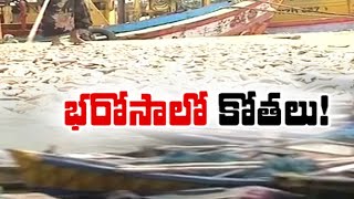 ఇతర పథకాలుంటే మత్స్యకార భరోసా ఉండదు | YSR Matsyakara Bharosa Scheme | Other Schemes