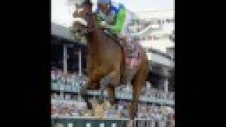 Barbaro: The Life Of A Legend