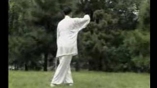 Hunyuan Taijiquan Paochui