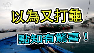 #26香港釣魚2022|以為又打龜！點知有驚喜！過足手癮｜CC字幕｜【食玩釣】｜2022.4 #香港釣魚 #釣魚  #筏仔  #筏釣 #香港魚排 #烏頭 #黃立倉 #hongkongfishing