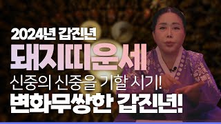 [팩트운세] 12회. 갑진년 대박 나는 돼지띠 운세! 95년생, 83년생, 71년생, 59년생, 47년생! 신중의 신중을 기할 시기! 변화무쌍한 갑진년!