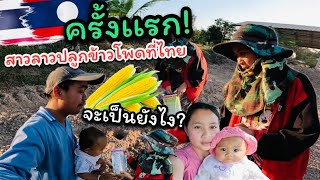 ครั้งเเรก!ที่สาวลาว🇱🇦ปลูกข้าวโพด🌽ที่ไทยจะเป็นยังไง? #สาวลาว #วิถีชาวบ้าน #วิถีอีสาน #vlog #food