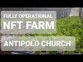 MODERN HYDROPONICS UPDATE | NFT Hydroponics System At ANTIPOLO  CATHEDRAL