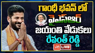 TPCC Revanth Reddy Live | Revanth Reddy Pays Tribute To YSR | YSR Jayanti Celebrations Live |YOYO TV