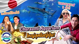 JAPAN | พาดูฉลามวาฬ ที่ Churaumi Aquarium ที่ใหญ่ที่สุดในญี่ปุ่น !! | หนีเที่ยวกัน 2 ก.ค 65