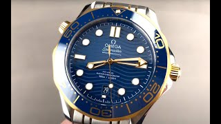 Omega Seamaster Diver 300M 210.20.42.20.03.001 Omega Watch Review