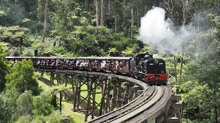 Australia 2023 Vol. 12 - Puffing Billy Ry 2