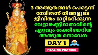 ആരോഗ്യമാതാവിനോടുള്ള ഈ അത്ഭുത നൊവേന വിശ്വാസത്തോടെ മുടങ്ങാതെ പ്രാർത്ഥിച്ചവർ ഇന്നു വരെ നിരാശരായിട്ടില്ല