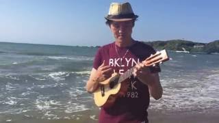 38_《 宥廷的烏克演奏集 》夏日三部曲 _On the beach+Crazy G+牛仔很忙_ukulele solo