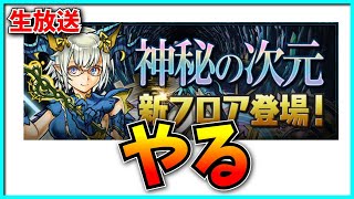 一応やる。【パズドラ・神秘の次元・四次元の探訪者】