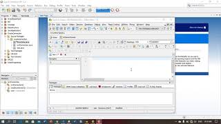 Call a oracle procedure from Java Netbeen