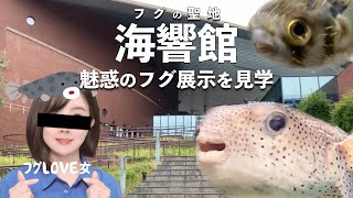 フグの聖地！海響館へ行く。【フグを訪ねるvol.1_山口県下関市】