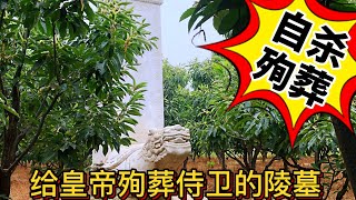 顺治御前侍卫，主子死后自杀陪陵，坟墓却被自己家后人盗窃一空