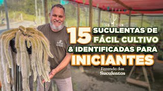 15 suculentas de FÁCIL CULTIVO para INICIANTES!