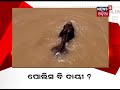 ସଂଧ୍ୟା ୬ଟା ୩୦ ନ୍ୟୁଜ 18 ମହାନଗରର headlines । 01.10.2021