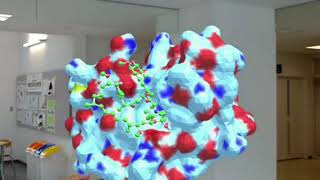 3D structure of Protein and ligand (BPTI and fk506) by HoloLens