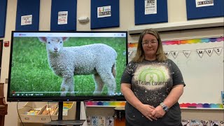 Lost Sheep Practice