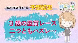 【JRA】3月18日中央競馬　中山・阪神・中京　予想結果の的中率・回収率