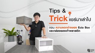 Tips \u0026 Trick #กล่องรองเท้าไม้ และ #กล่องเก็บรองเท้าพลาสติก ต่างกันอย่างไร │ Good Idea Outlet