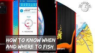 HOW TO IMPROVE YOUR FISHING | SHORE FISHING TOOLS/RESOURCES