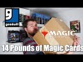 mtg market movers feb 3rd 2025 commander and mondern cards rising up pest control