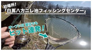 [ニレ池]初心者連れて初場所行ってみた！前編「管釣り」