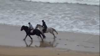 Beach Riding