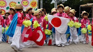 昭和保育園「たちばな」 も見とく？  どまつり  YOSAKOI  よさこい  #yosakoi