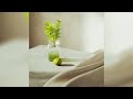 Still Life - Speedart (Cinema 4D / Redshift) #shorts