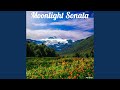 Moonlight Sonata