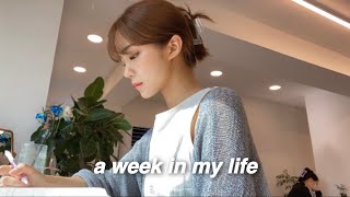 vlog | 대학생 한심한 방학생활 청산하기 | 매일 7시 기상(작심삼일 성공기)| 아침운동🏃🏻‍♀️ 공부✏️ 헬스다니는 일상 브이로그 | 아이패드 필름