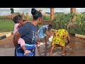 Madam Boss: Kupai Mvura Asikana