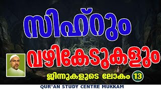 സിഹ്റും വഴികേടുകളും | ജിന്നുകളുടെലോകം Part - 13 | Rahmathulla qasimi | 12.01.2025