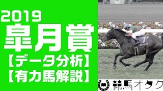 【2019皐月賞】高速決着必至！「適性」より「素質」？（レース傾向・有力馬解説）