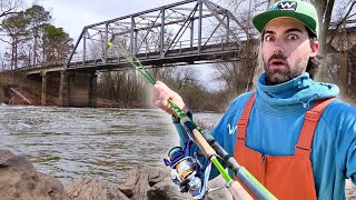 This Old Creek Bridge Was INSANELY LOADED! -- The Spring Run is HERE! (Biggins)