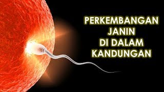 MENAKJUBKAN! SEPERTI INILAH PROSES PERKEMBANGAN JANIN DI DALAM RAHIM IBU